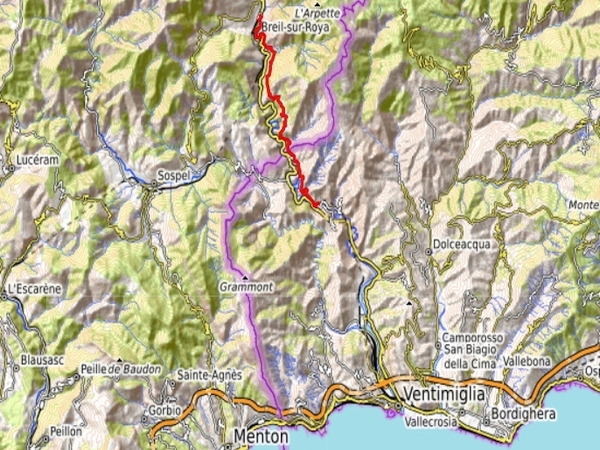 R50000Castagna Mappa Castagna